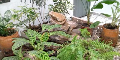 Alquilerdeoficinascali16 Alquilerdeoficinascali16