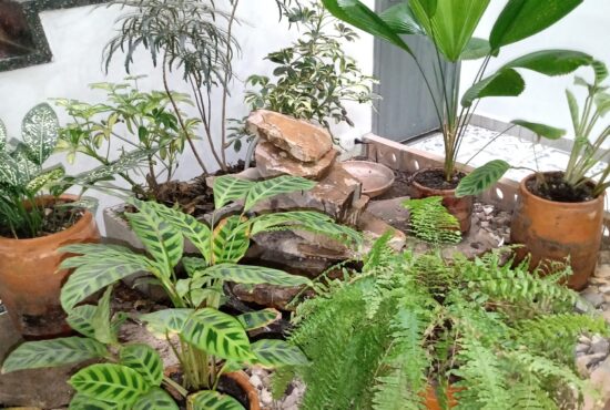 Alquilerdeoficinascali16