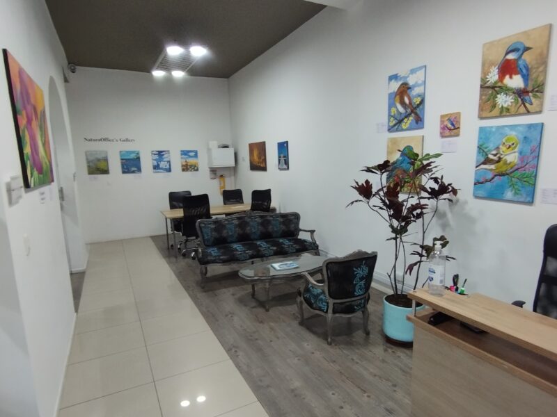 Coworking Cali 5